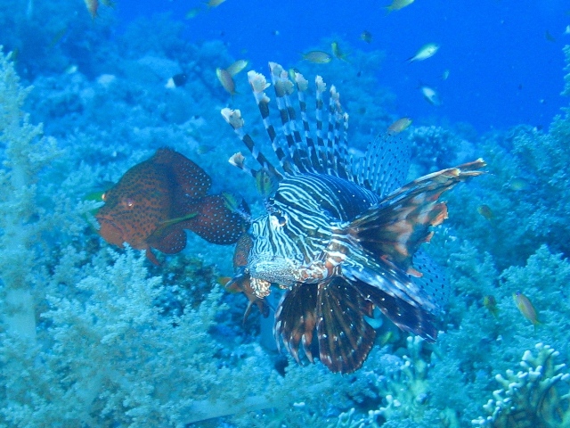 the grumpy twins.jpg